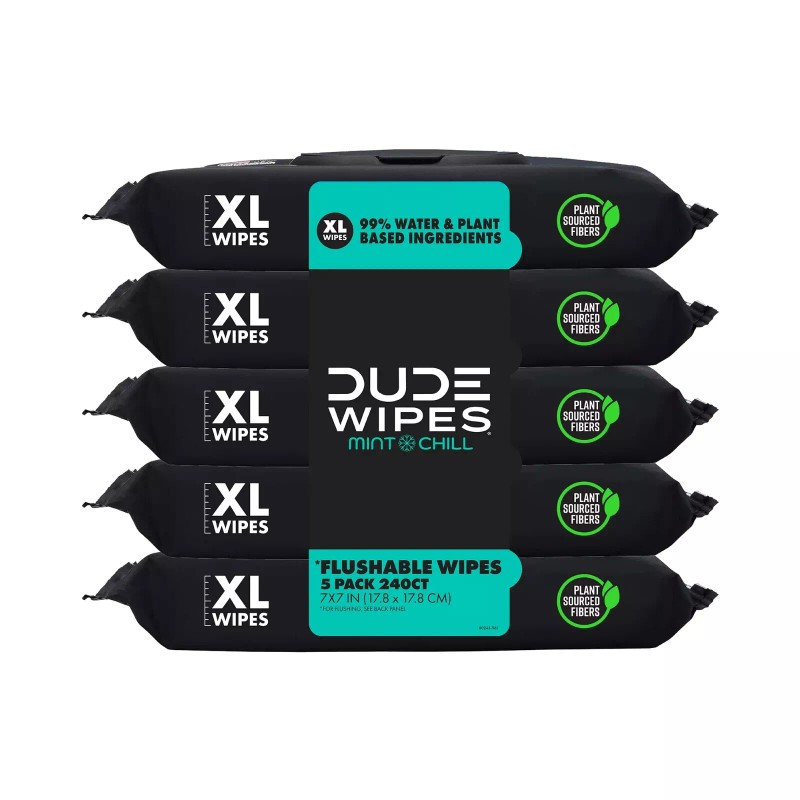 DUDE Wipes Flushable Wipes, XL Wet Wipes for At Home
