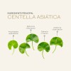 Rutina Facial Control Grasa Y Acne Centella Asiatica Mc Life
