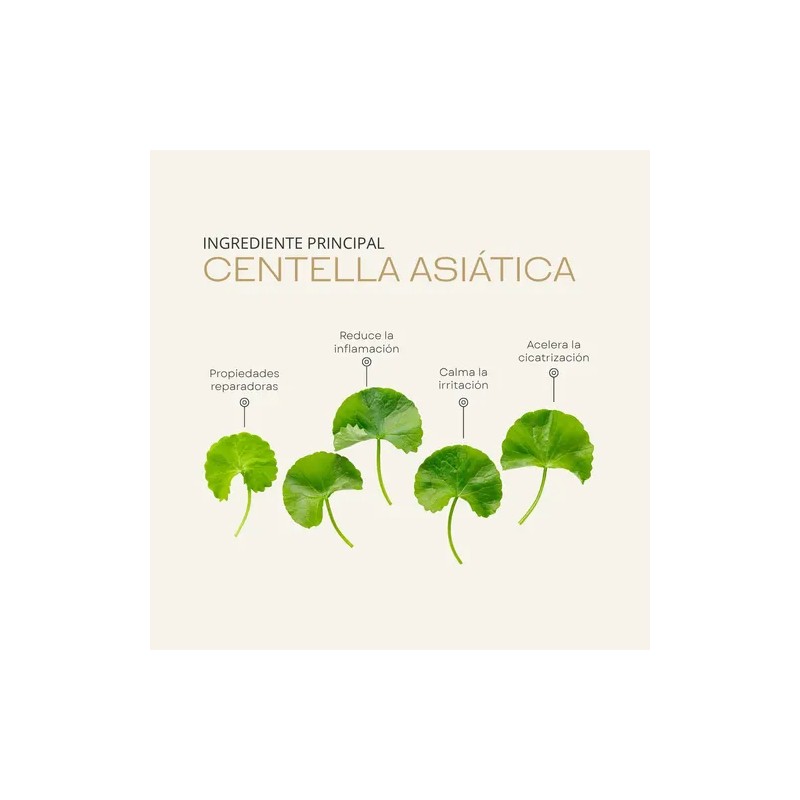 Rutina Facial Control Grasa Y Acne Centella Asiatica Mc Life