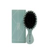 Natalie Anne Mini Gentle Wet & Dry Brush