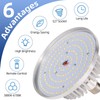 AQIRUI 175W Photography Light Bulb Dimmable Tricolor LED Bulbs 3000-6700K