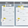 Separate Diary Notebook, Beginning in January, 2025 B6 Weekly &