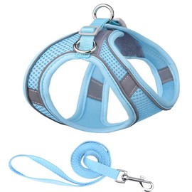 Aosory Cat and Small-Medium Dog Harness, No-Pull Pet Vest with Leash for Walking, Puppy Harness Set, Step-in Dog Harness for Small Breeds, Adjustable Mesh Harness