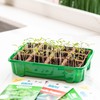 Back to the Roots 12-Cell Greenhouse Germination Kit | includes