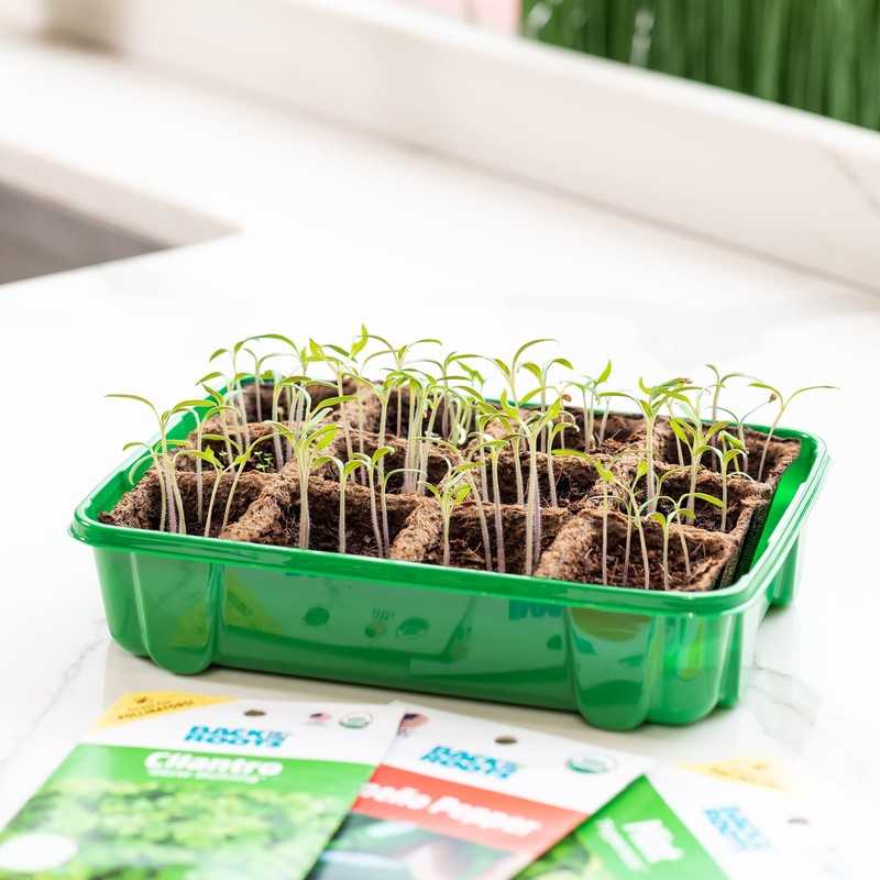Back to the Roots 12-Cell Greenhouse Germination Kit | includes