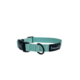 ShawnCo Dream Walk Dog Collar- Premium, Adjustable and Comfortable Pet Collar for Small, Medium, Large and Extra Large Dogs (M, Seafoam)