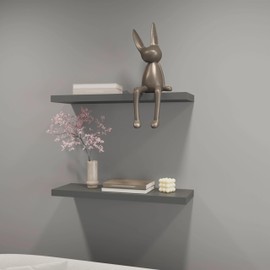 TREATLIFE HOME Matt Grey Floating Shelf Recessed Design for Modern Aesthetic, Ample Space for Books and Décor, Dimensions 31.5 x 9.8 x 1.5 in
