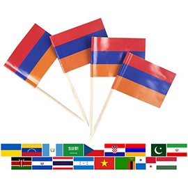 JBCD Armenia Toothpick Flag Armenian Mini Small Cupcake Topper Flags, 100 pcs