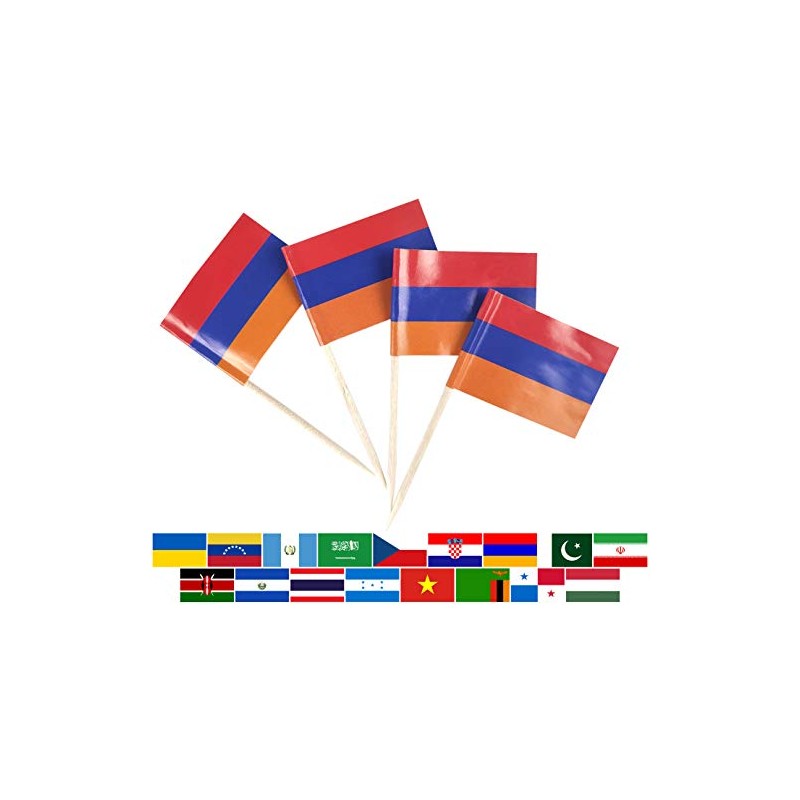 JBCD Armenia Toothpick Flag Armenian Mini Small Cupcake Topper Flags,