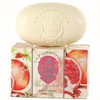 La Florentina Soap 10.1 fl oz (300 ml) Pomegranate, Pomegranate