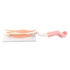 Arm Moving Model Anatomical Elbow Joint Motion Model Primary School
