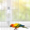 Bird Water Dispenser Parrot Waterer Automatic Bird Water Feeder for
