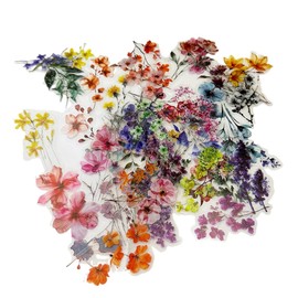 100 Transparent Scrapbooking Stickers, Flower Stickers, Flower Stickers for Scrapbook, Photo Album, Scrapbook, Laptops, Craft, Journaling Accessories, etc