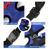 Chicken Harness and Leash, Modified Adjustable Breathable Harness Specially Designed