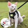 Adjustable Cat Harness, Escape Proof, Adjustable Cat Harness with Lead,