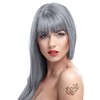 Crazy Color Renbow Colouring Direct 100 ml 100 ml Silver