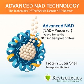 REVGENETICS Advanced NAD Powder - Dietary Supplement, 147 Servings, Unisex, Vitamin B3 (NAD), 25 Grams