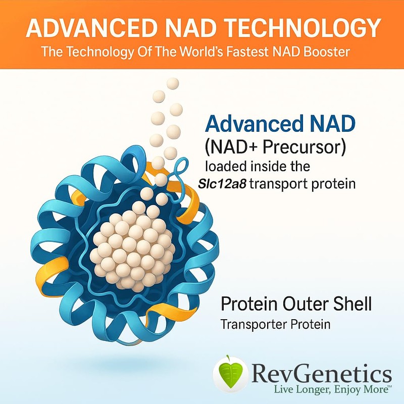 REVGENETICS Advanced NAD Powder - Dietary Supplement, 147 Servings, Unisex,