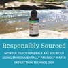 Morter Trace Minerals in Colloidal Suspension — Morter HealthSystem Best