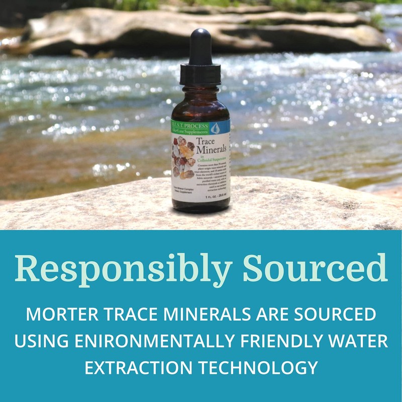 Morter Trace Minerals in Colloidal Suspension — Morter HealthSystem Best