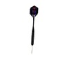 Unicorn World Champion Raymond Van Barneveld Brass Dart - Black,