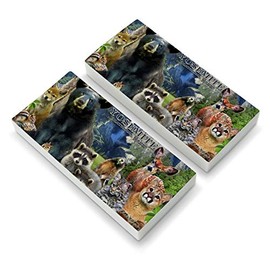 Yosemite National Park California CA Animals Bear Raccoons Beaver Chipmunks Eraser Set of 2