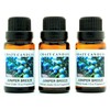Crazy Candles Juniper Breeze 3 Bottles 1/2 Fl Oz Each (15ml) Premium Grade Scented Fragrance Oil (Clean, invigorating, Fresh with a Slight top Note of Berry.)