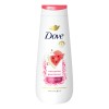 Dove Body Wash For Women 20 Oz Limited Edition