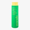 Farmstay Tamanu Oil Mild Shampoo Avocado 300ml / 팜스테이 타마누