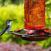 Juegoal 28 oz Glass Hummingbird Feeders for Outdoors, Wild Bird