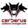CERBERUS Strength Sandbag Liner with Heavy Duty Zip Ties