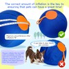 25" Herding Ball for Dogs – Durable Horse Ball Style