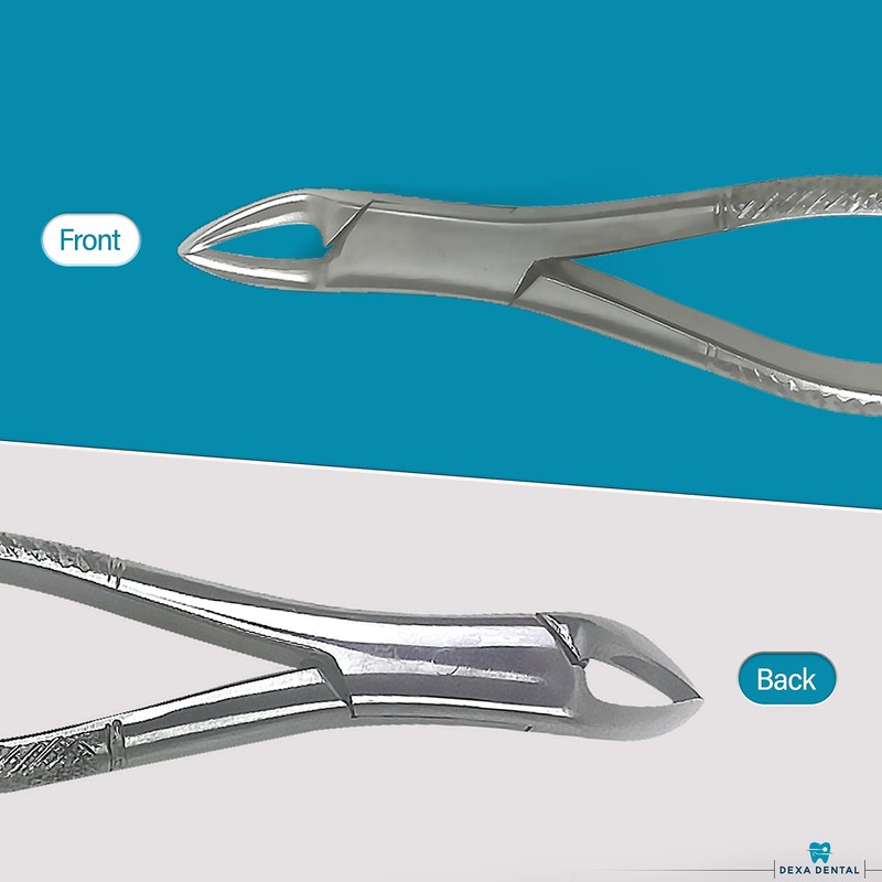 DEXA DENTAL Heavy Duty Dental Extracting Forceps # 150 Apical