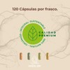 Citrato de Magnesio + Citrato de Potasio | Fórmula Super