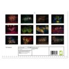 The firework (Monthly Wall Calendar 2026 16.5" x 23.4" (open)),