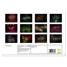 The firework (Monthly Wall Calendar 2026 16.5" x 23.4" (open)), CALVENDO 14 Month Calendar