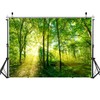 ZZBYSM 8X6FT Spring Backdrop Green Forest Newborn Baby Backdrop Studio