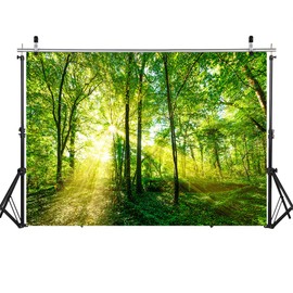 ZZBYSM 8X6FT Spring Backdrop Green Forest Newborn Baby Backdrop Studio Decoration Backdrop Birthday Party Backdrop Vinyl Party Backdrop BY147