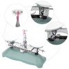 20g50g Weights, 100 Gram Mechanical Balance Scale with 5g for