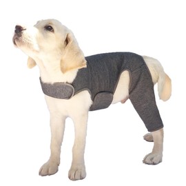 Dog Bodysuit After Surgery Body Dog, Wound Protection Suits for Dogs, Anti-Wound Licking Op with Leg, Knee Brace Dog Rear Leg Recovery Suit for Dog Collar, Alternative Protection Bodysuit (Grey, 2XL)