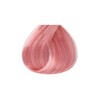 Kiss Tintation Semi Permanent Hair Colour With Argan Oil, Aloe