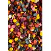 India Tree Nature's Colors Natural Rainbow Confetti Cake Decorations, 2.3