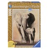Ravensburger 19002 Jigsaw Puzzle 1,000 Pieces Wooden Texture "Great Guardian"