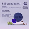 Arista Solid Silver Shampoo Anti-Yellow Tint Shampoo Nourishing Silver Shampoo