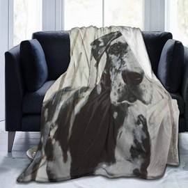 LodiSFOA Large Black and White Harlequin Great Dane Fleece Blanket Throw Lightweight Blanket Super Soft Cozy Bed Warm Blanket for Living Room/Bedroom All Season