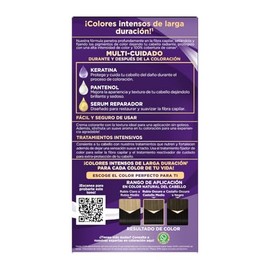 Palette Tinte para cabello color creme, negro 1-0