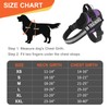 Essential Dog Harness, No Pull Pet Harness with 3 Side