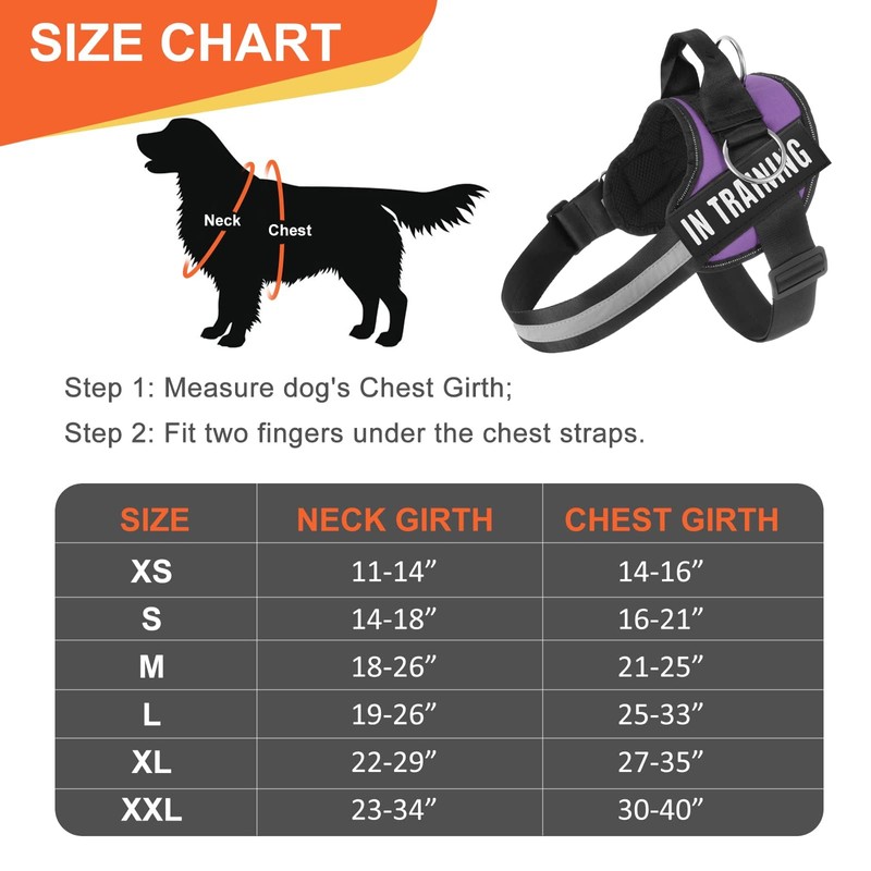 Essential Dog Harness, No Pull Pet Harness with 3 Side