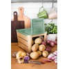 Snips Potato and vegetable container, brown and green, 3 kg,
