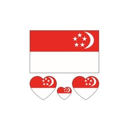 ZPDNURZL 10 Sheets Singapore Flag Tattoos Stickers 40 Pcs Waterproof Sweat Sports National Flag Removable Fake Tattoos
